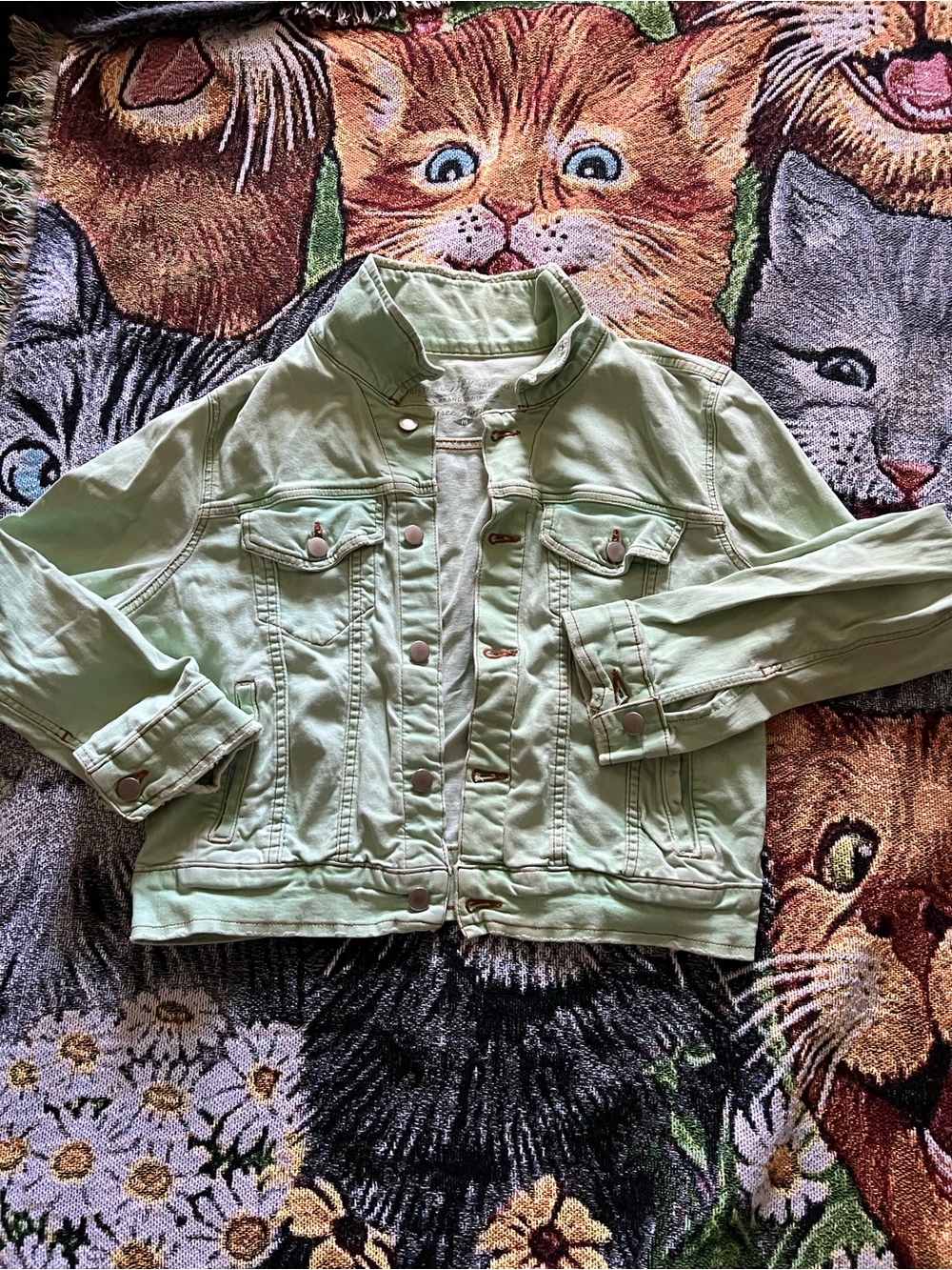Free People Mint Green Cropped Denim Jacket